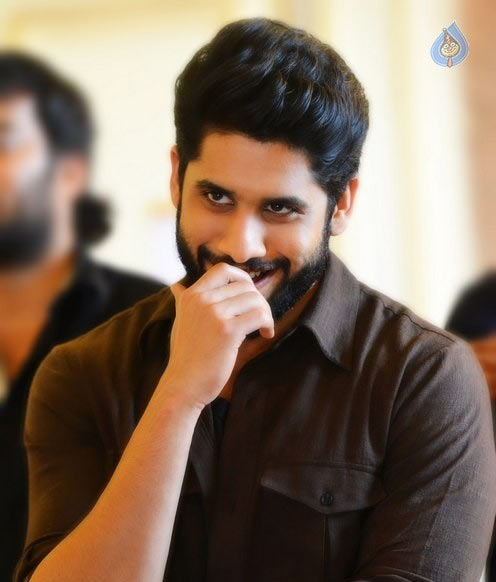 naga chaitanya,akkineni fans,premam movie,naga chaitanya premam business,chaitu movies  హాట్‌కేక్‌లా చైతూ సినిమా!